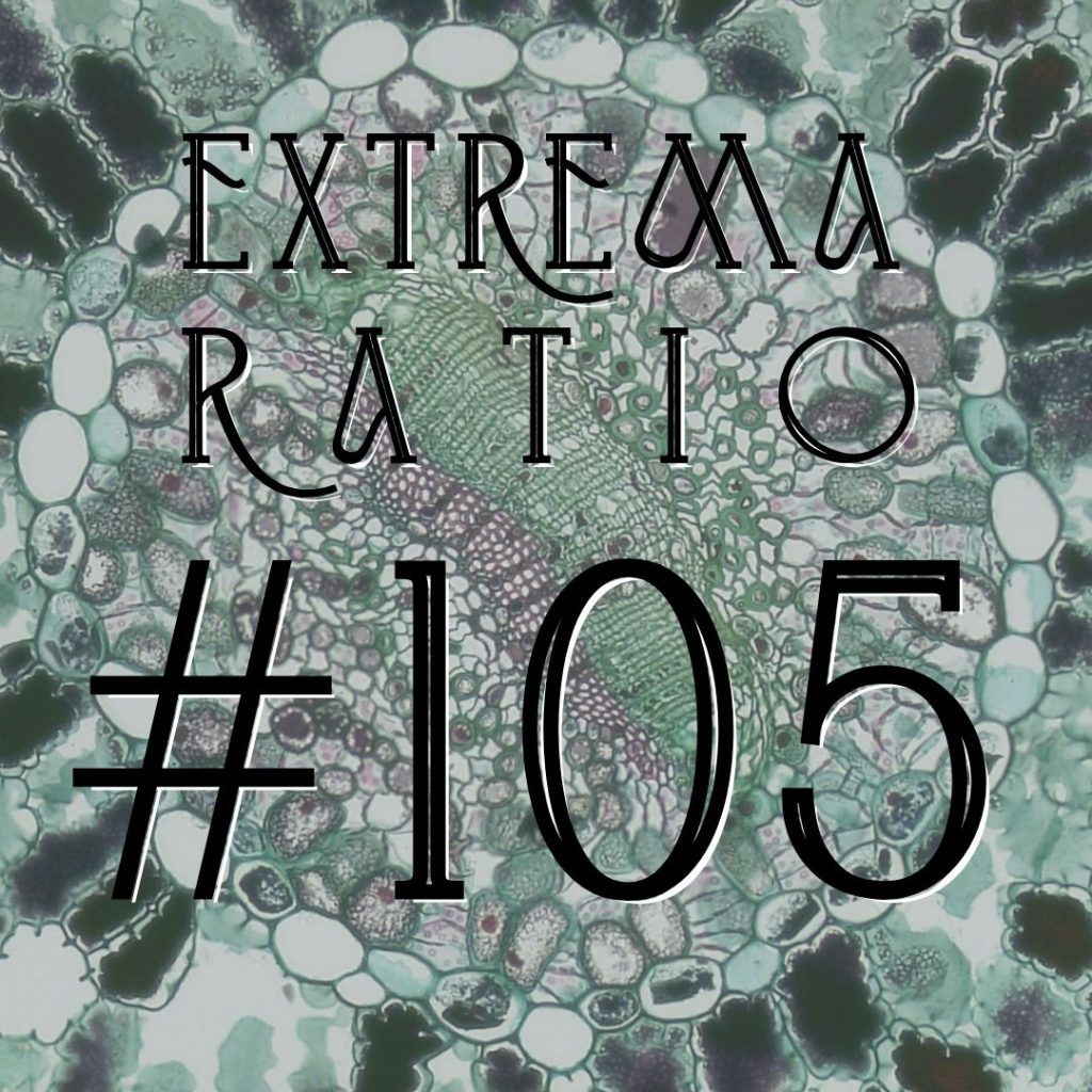 Extrema Ratio #105: 11/01/24-17/01/24